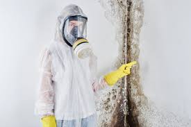 Best Black Mold Removal  in Pendleton, OR